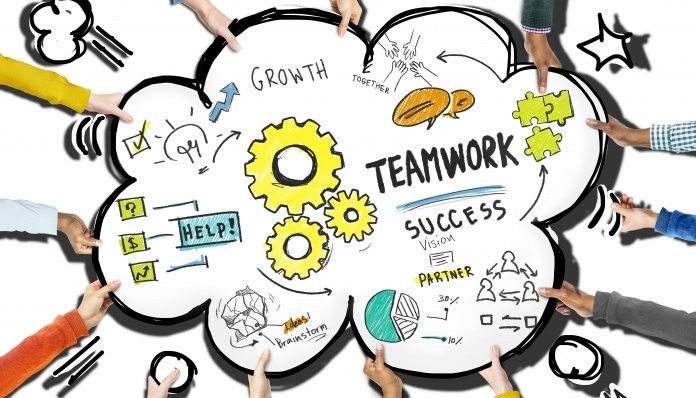 Team organization phases